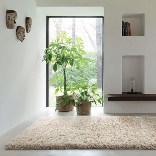 Tapis à poils longs beige clair 120X170 - Céleste